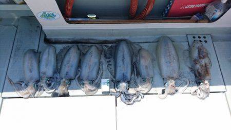 フィッシングボートACE（エース） 釣果