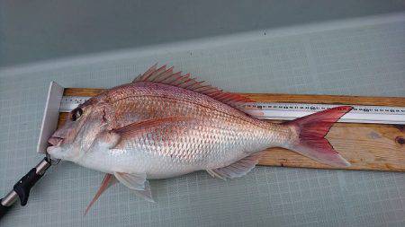 フィッシングボートACE(エース) 釣果