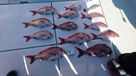 フィッシングボートACE(エース) 釣果