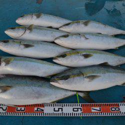 アジアマリンサービス 釣果