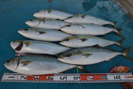 アジアマリンサービス 釣果