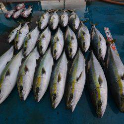 アジアマリンサービス 釣果