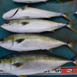 アジアマリンサービス 釣果