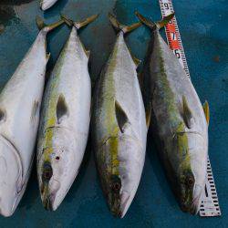 アジアマリンサービス 釣果