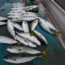 アジアマリンサービス 釣果