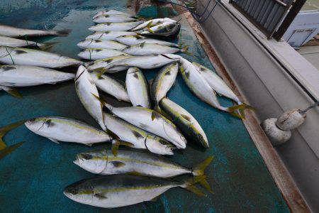 アジアマリンサービス 釣果