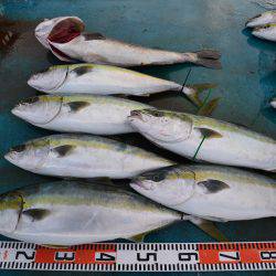 アジアマリンサービス 釣果