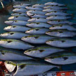 アジアマリンサービス 釣果