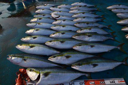 アジアマリンサービス 釣果