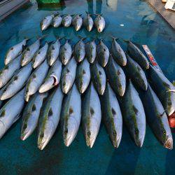 アジアマリンサービス 釣果