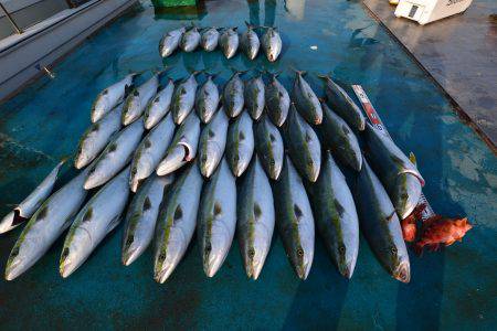 アジアマリンサービス 釣果