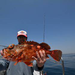 アジアマリンサービス 釣果