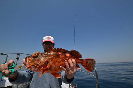 アジアマリンサービス 釣果
