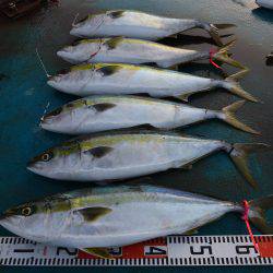 アジアマリンサービス 釣果