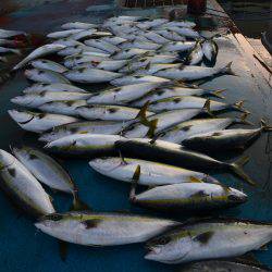 アジアマリンサービス 釣果