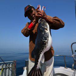 アジアマリンサービス 釣果