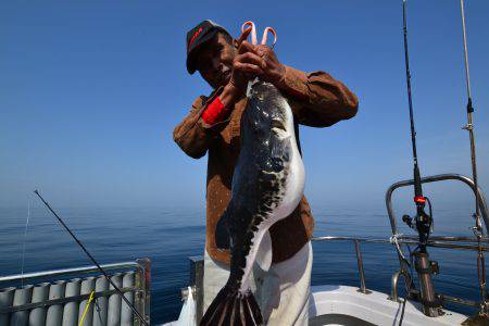 アジアマリンサービス 釣果