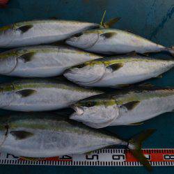 アジアマリンサービス 釣果