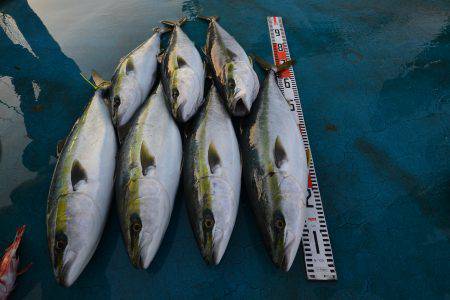 アジアマリンサービス 釣果