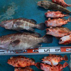 アジアマリンサービス 釣果