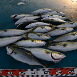 アジアマリンサービス 釣果