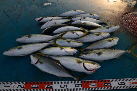 アジアマリンサービス 釣果