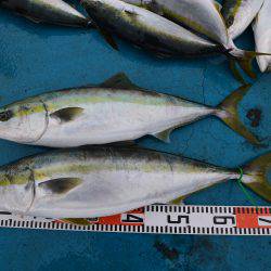 アジアマリンサービス 釣果