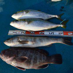 アジアマリンサービス 釣果