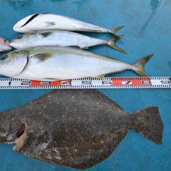 アジアマリンサービス 釣果