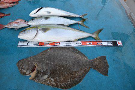 アジアマリンサービス 釣果