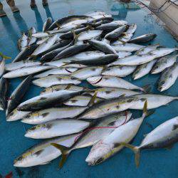 アジアマリンサービス 釣果