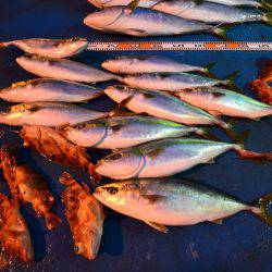 アジアマリンサービス 釣果