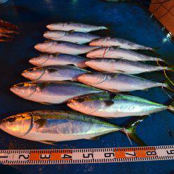 アジアマリンサービス 釣果