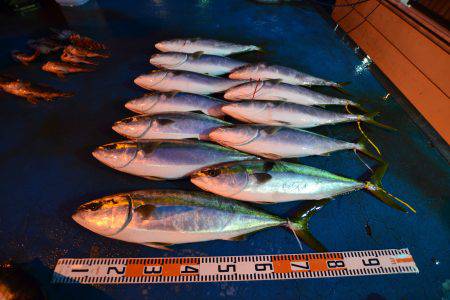 アジアマリンサービス 釣果