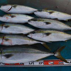 アジアマリンサービス 釣果