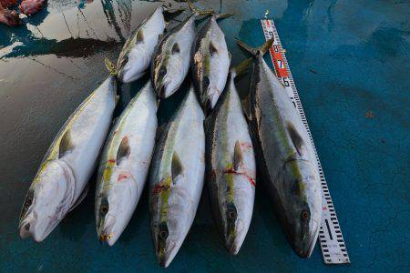 アジアマリンサービス 釣果