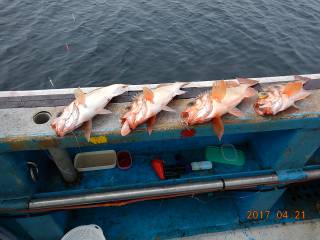 作十丸 釣果