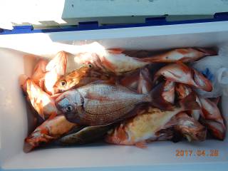 作十丸 釣果