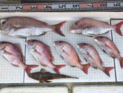 さぶろう丸 釣果