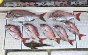 さぶろう丸 釣果