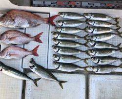 さぶろう丸 釣果