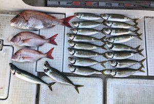 さぶろう丸 釣果