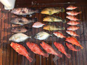 さぶろう丸 釣果