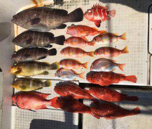 さぶろう丸 釣果