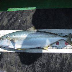 海宝丸　島根 釣果