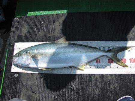 海宝丸　島根 釣果