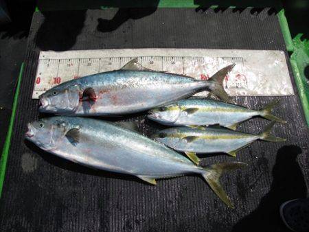 海宝丸　島根 釣果
