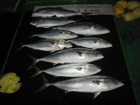海宝丸 島根 釣果