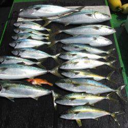 海宝丸 島根 釣果