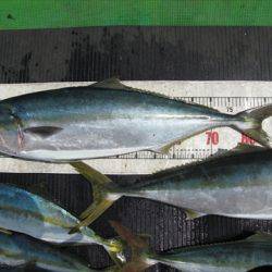 海宝丸 島根 釣果